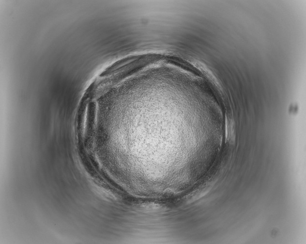 X0000093580483200710291104