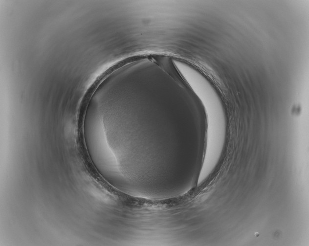 X0000093580484200710291104