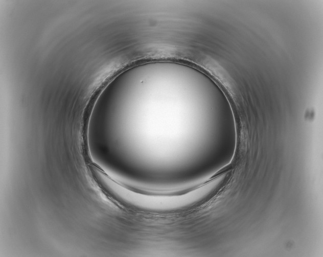 X0000093580485200710291104