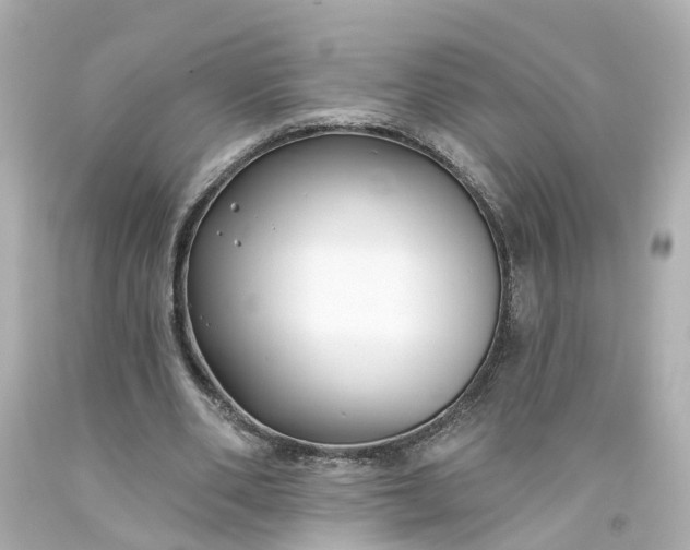 X0000093580486200710291104