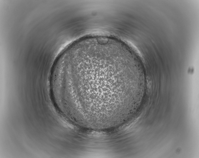 X0000093580487200710291104