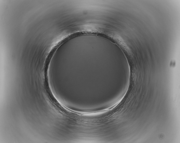 X0000093580488200710291104