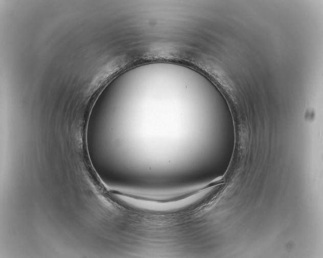 X0000093580489200710291104