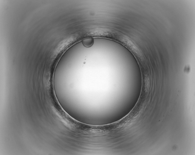 X0000093580490200710291104