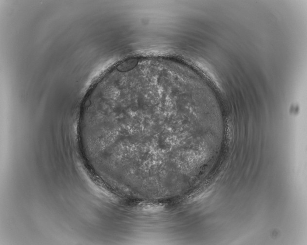 X0000093580491200710291104