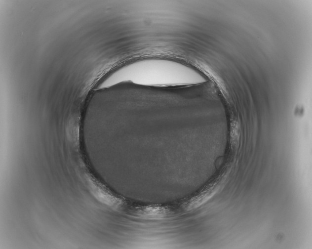 X0000093580493200710291104