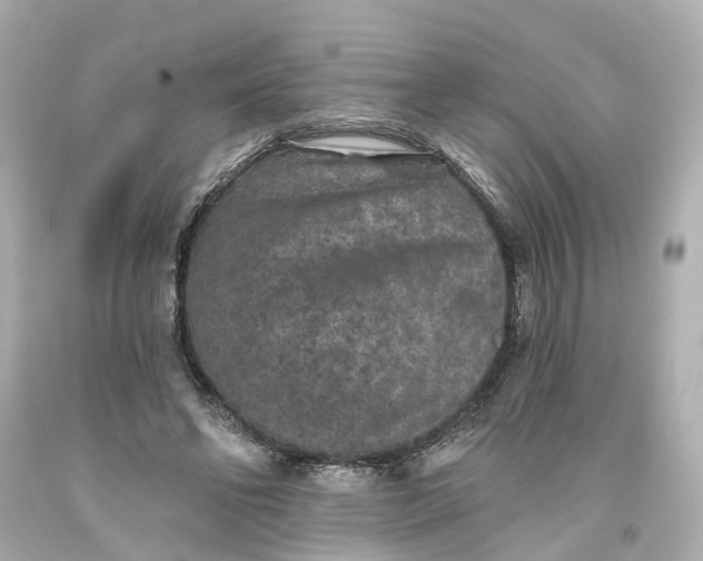 X0000093580494200710291104