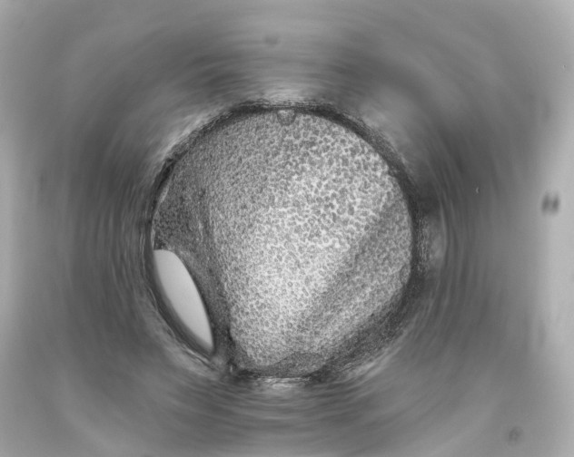 X0000093580495200710291104