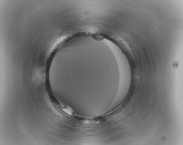 X0000093580496200710291104