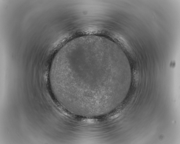 X0000093580499200710291104