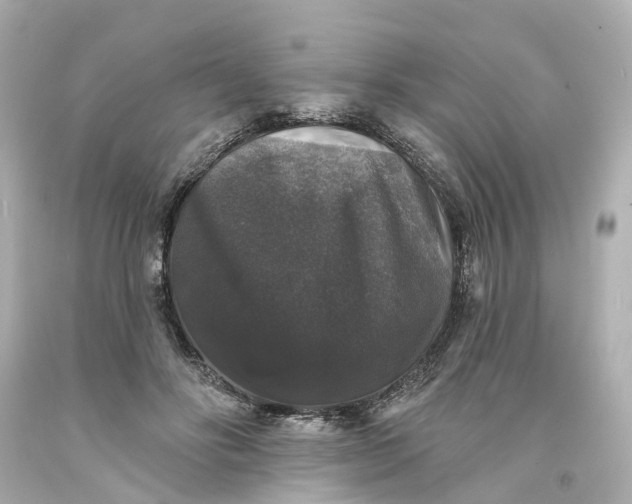 X0000093580502200710291104