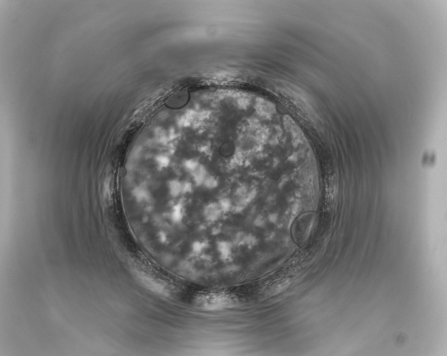 X0000093580503200710291104