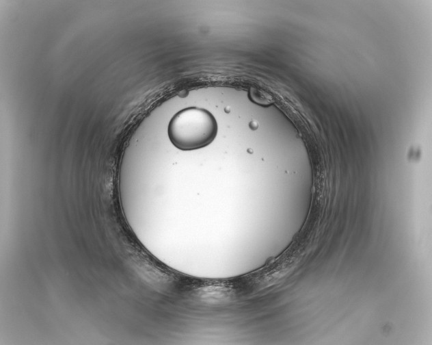 X0000093580505200710291104