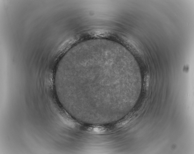 X0000093580506200710291104