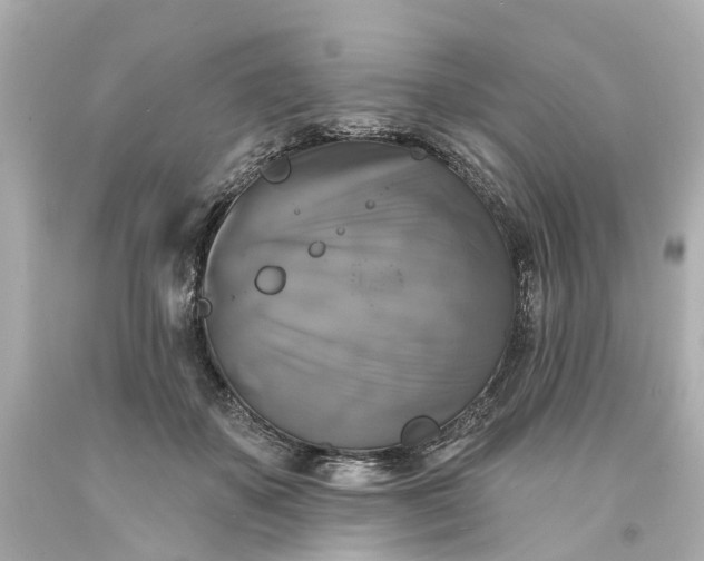 X0000093580507200710291104