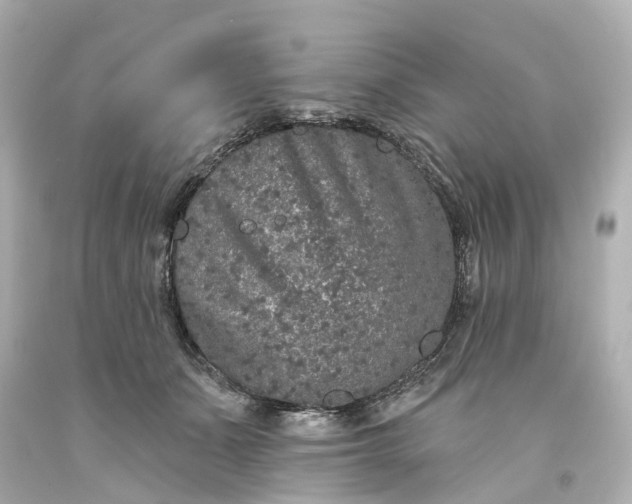 X0000093580511200710291104