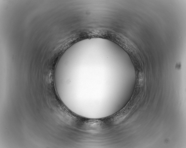 X0000093580514200710291104