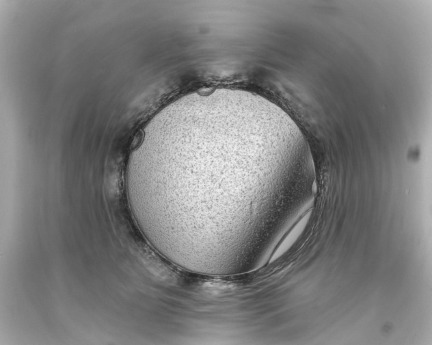 X0000093580515200710291104