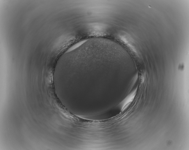 X0000093580517200710291104