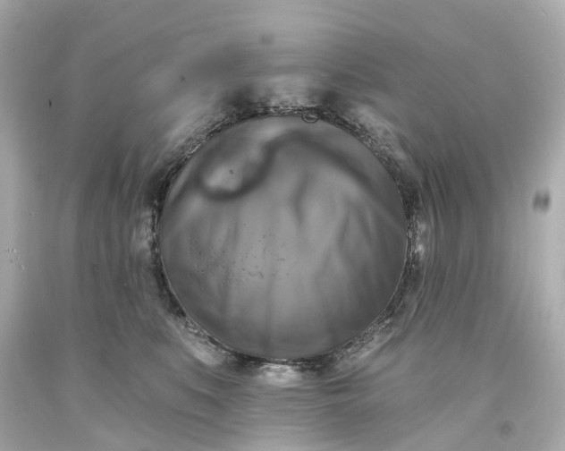 X0000093580519200710291104