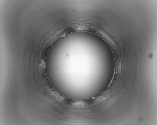 X0000093580521200710291104