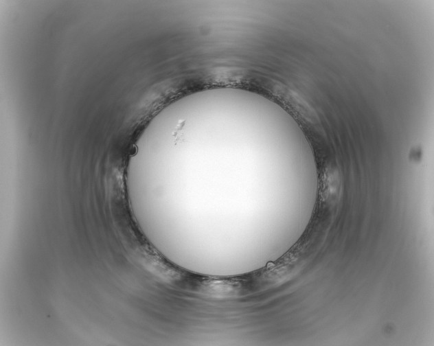 X0000093580522200710291104