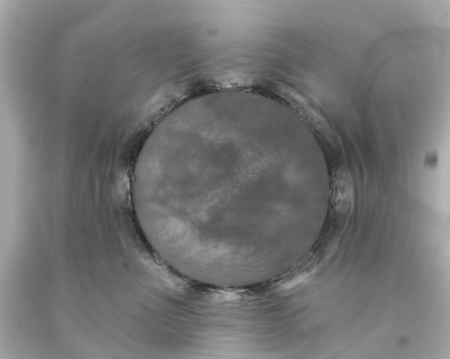 X0000093580523200710291104