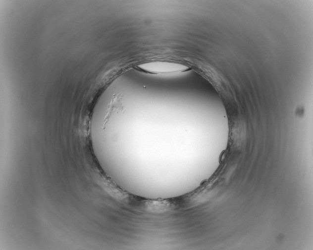 X0000093580525200710291104