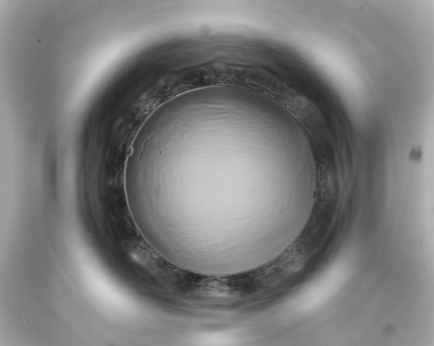 X0000093580526200710291104