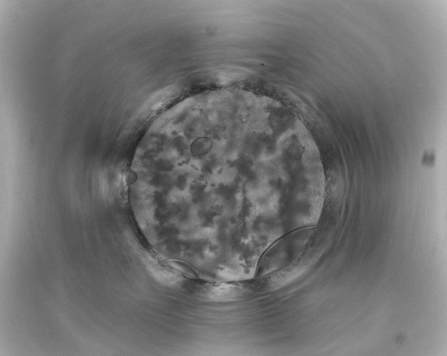 X0000093580527200710291104