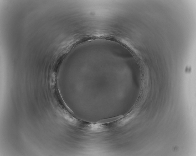 X0000093580528200710291104