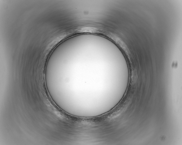 X0000093580529200710291103