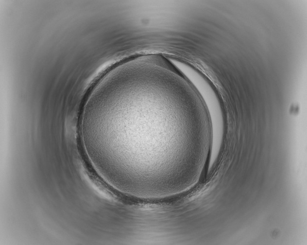 X0000093580530200710291103