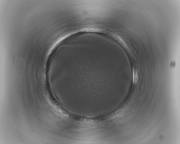 X0000093580531200710291103