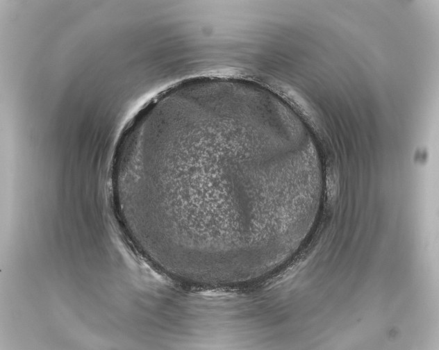 X0000093580532200710291103