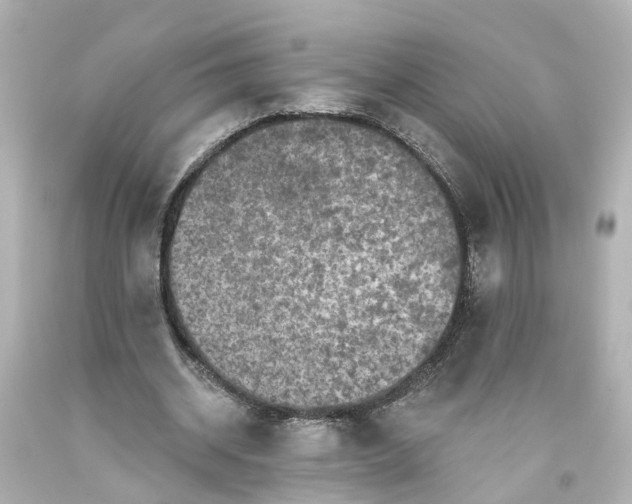 X0000093580534200710291103