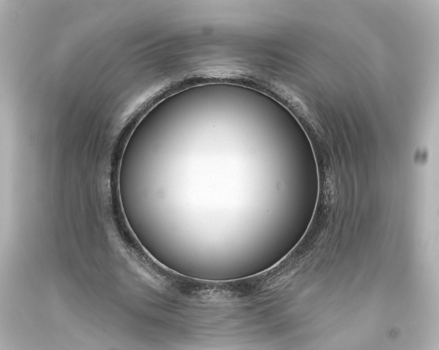 X0000093580535200710291103