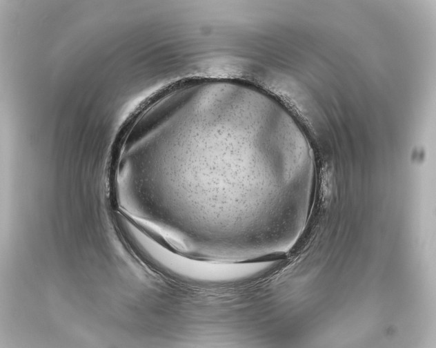 X0000093580536200710291103