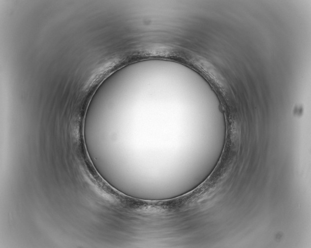 X0000093580537200710291103