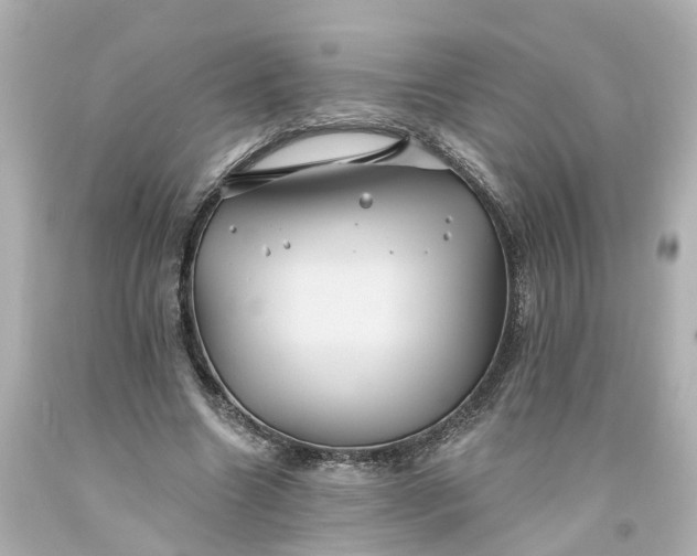 X0000093580538200710291103