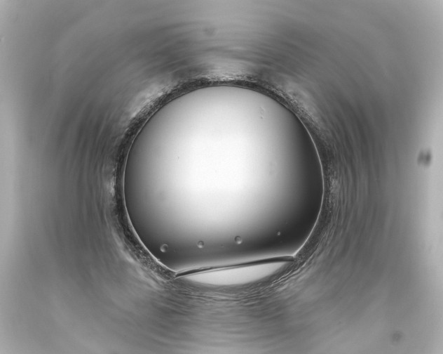 X0000093580539200710291103