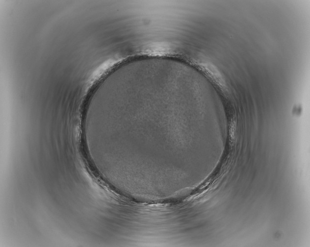 X0000093580540200710291103