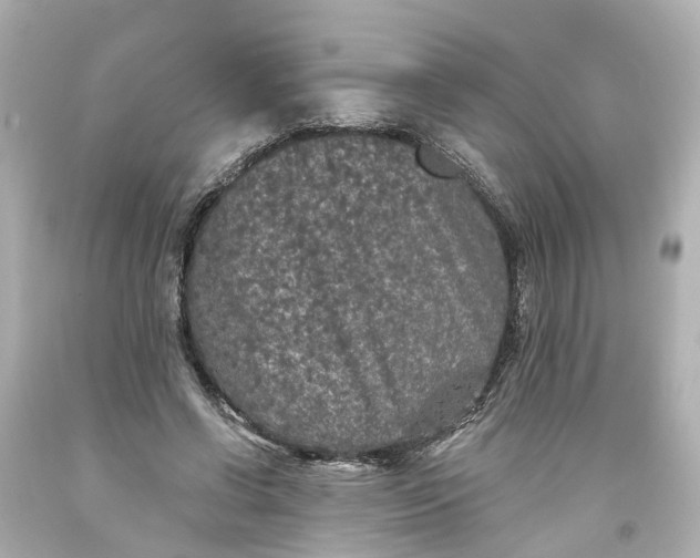 X0000093580542200710291103