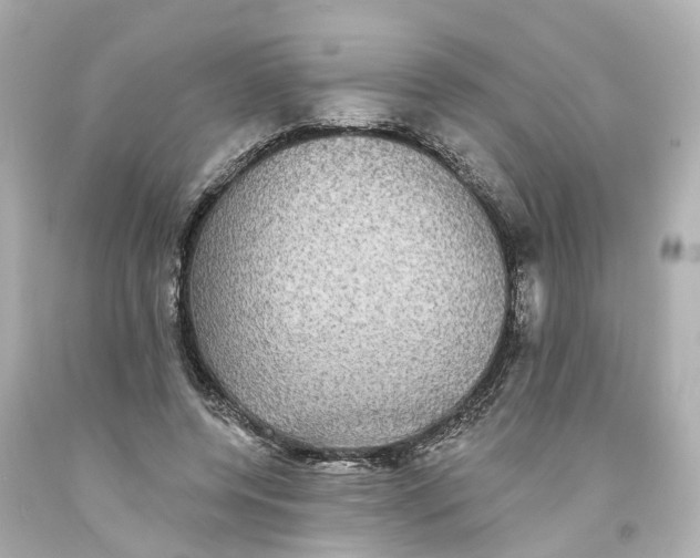 X0000093580544200710291103