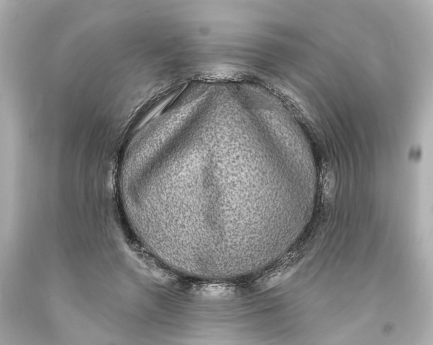 X0000093580546200710291103