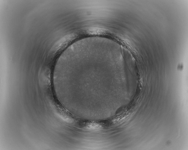 X0000093580547200710291103