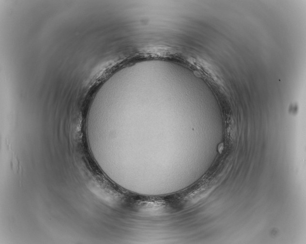 X0000093580548200710291104