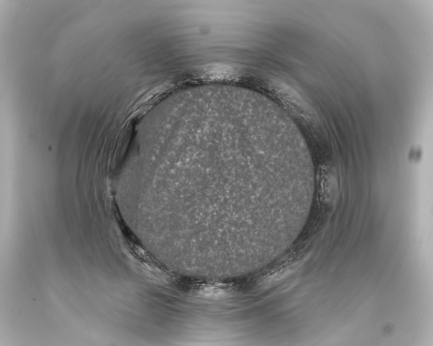 X0000093580550200710291104