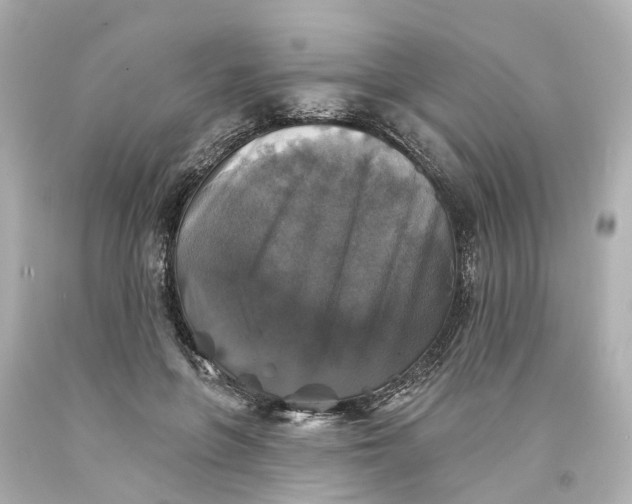 X0000093580551200710291104