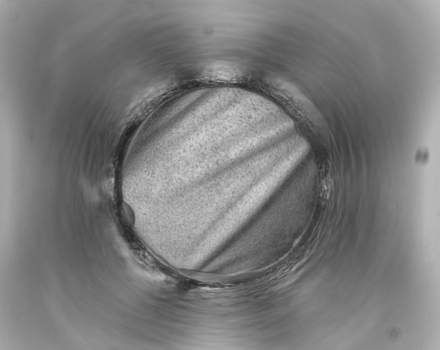 X0000093580552200710291104